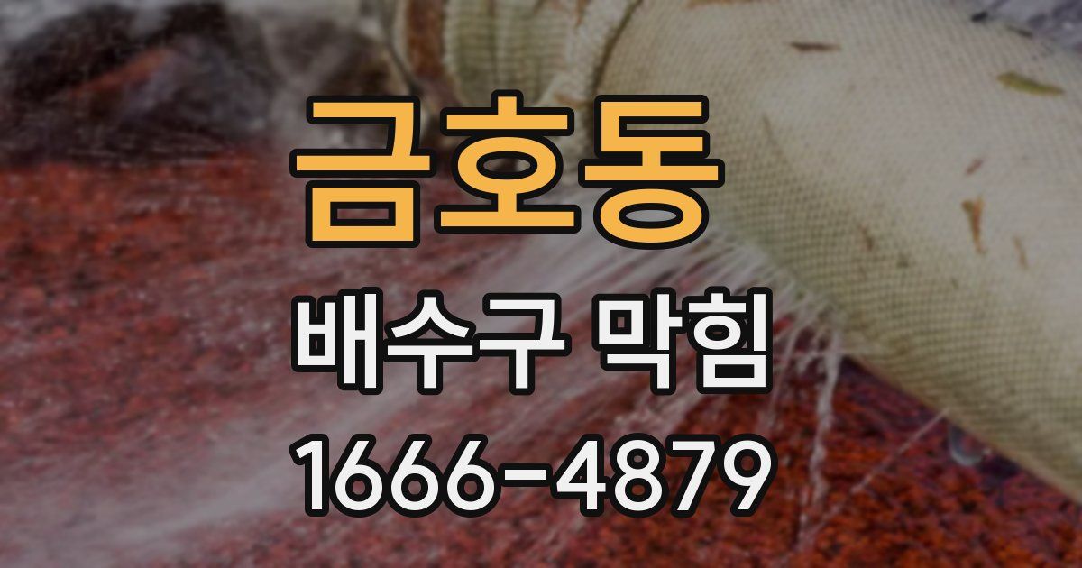 금호동 배수구 막힘