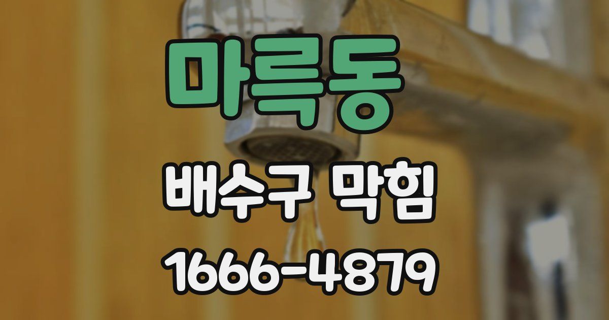 마륵동 배수구 막힘