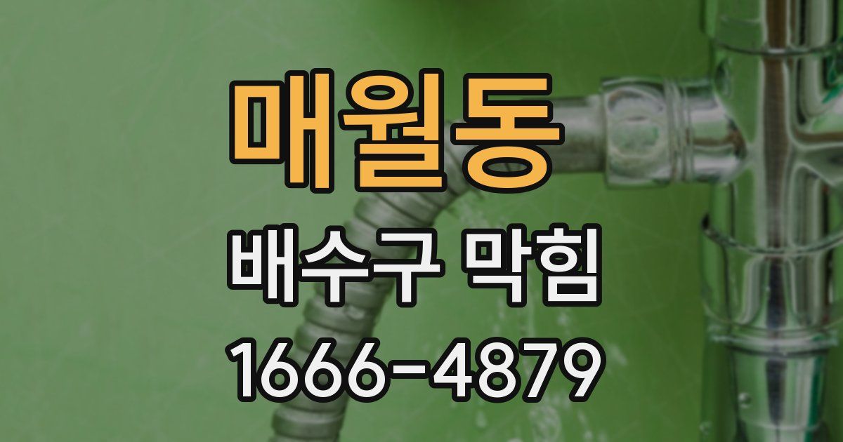 매월동 배수구 막힘