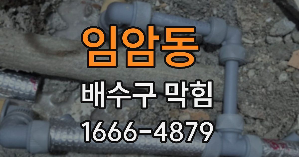 임암동 배수구 막힘