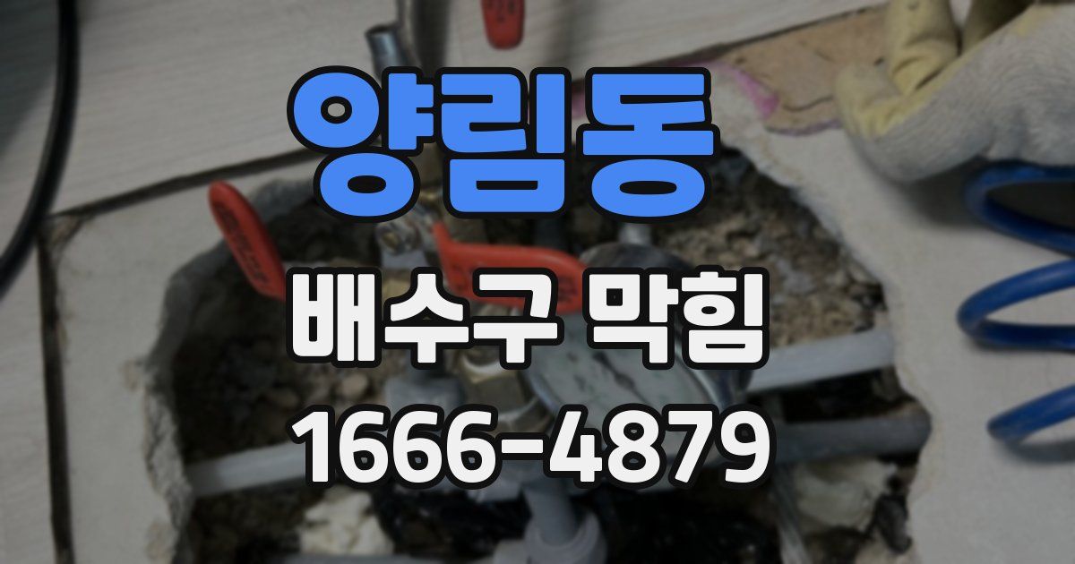 양림동 배수구 막힘