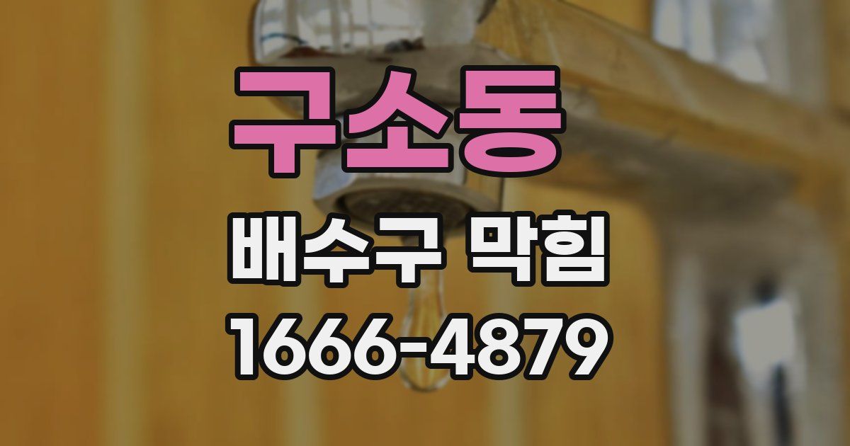 구소동 배수구 막힘