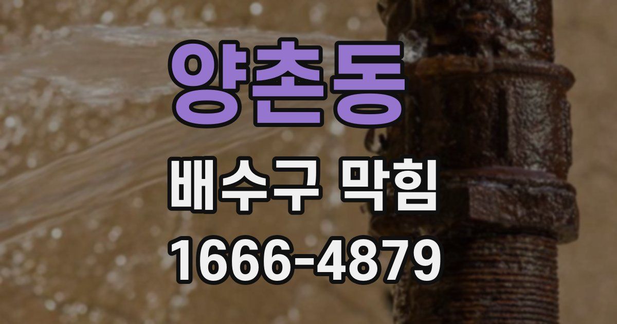 양촌동 배수구 막힘
