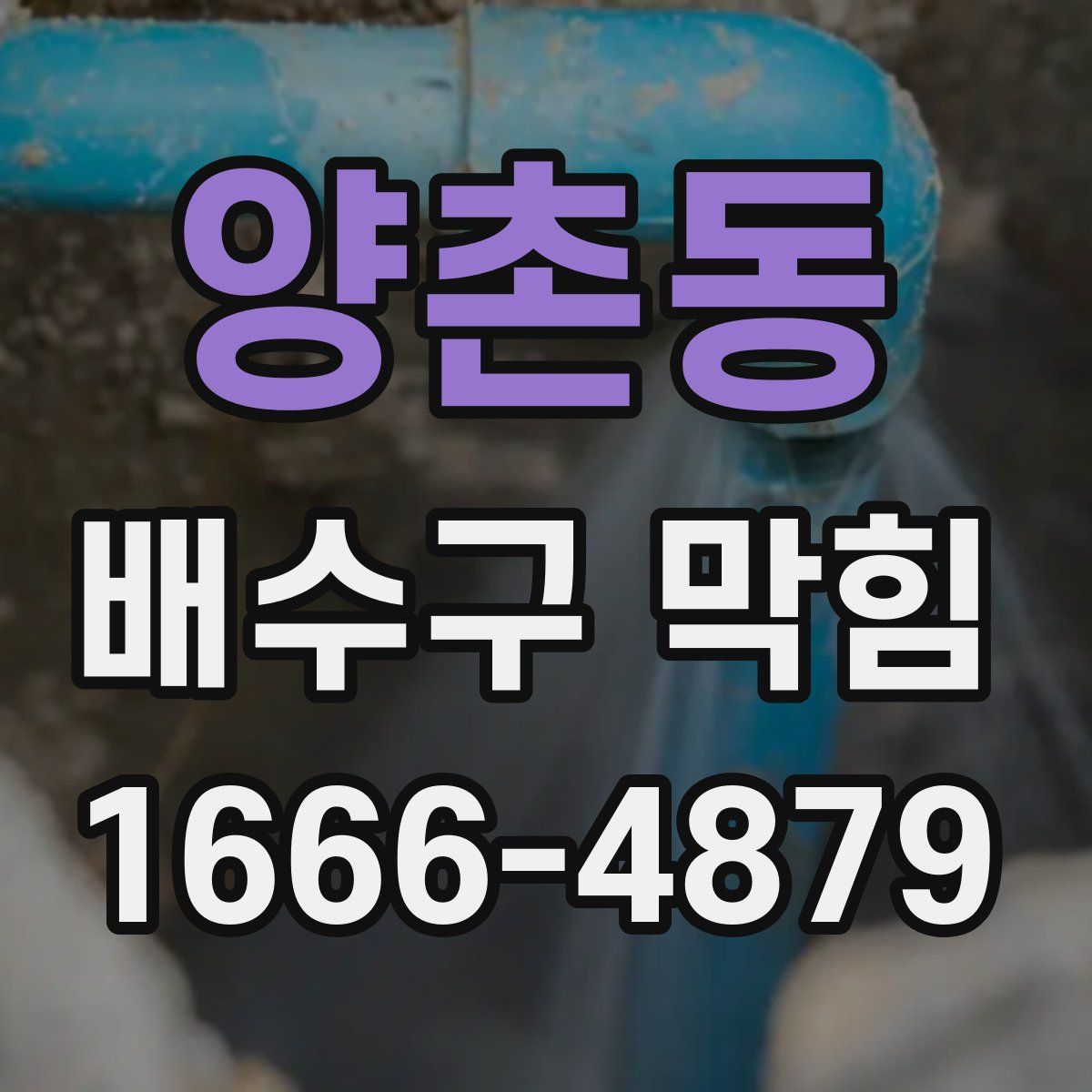 양촌동 배수구 막힘