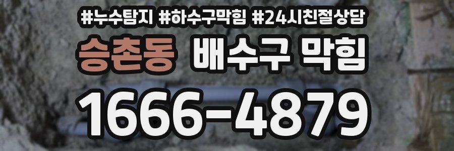 승촌동 배수구 막힘
