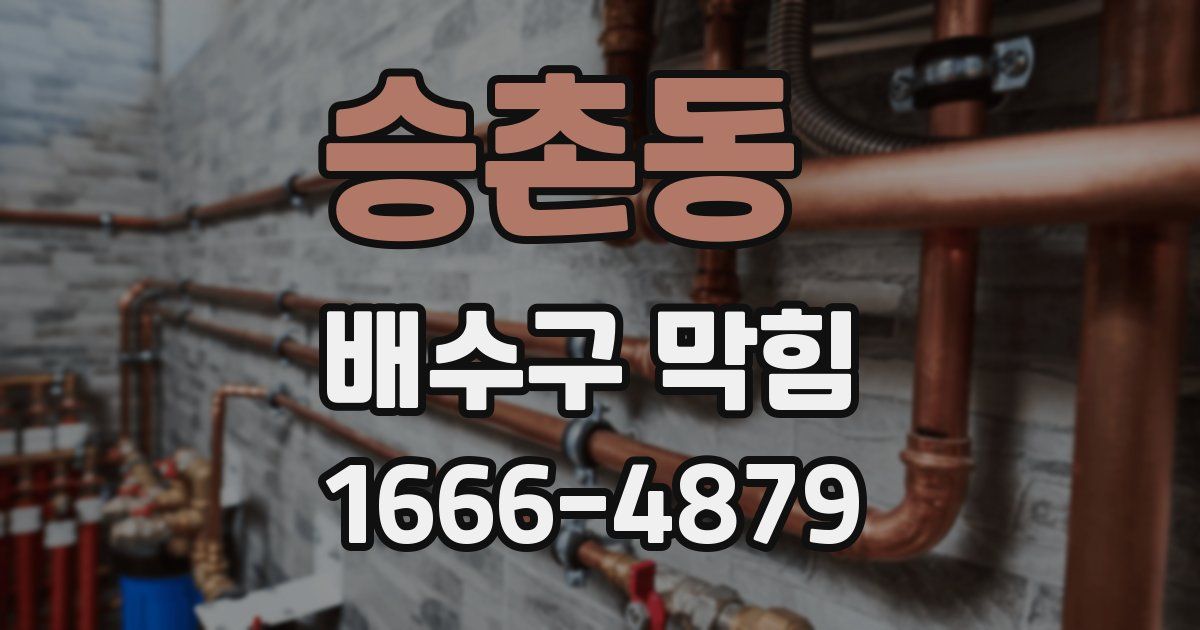 승촌동 배수구 막힘