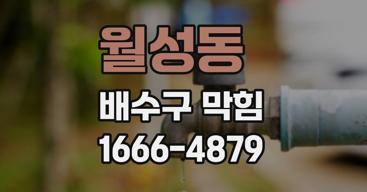 월성동 배수구 막힘