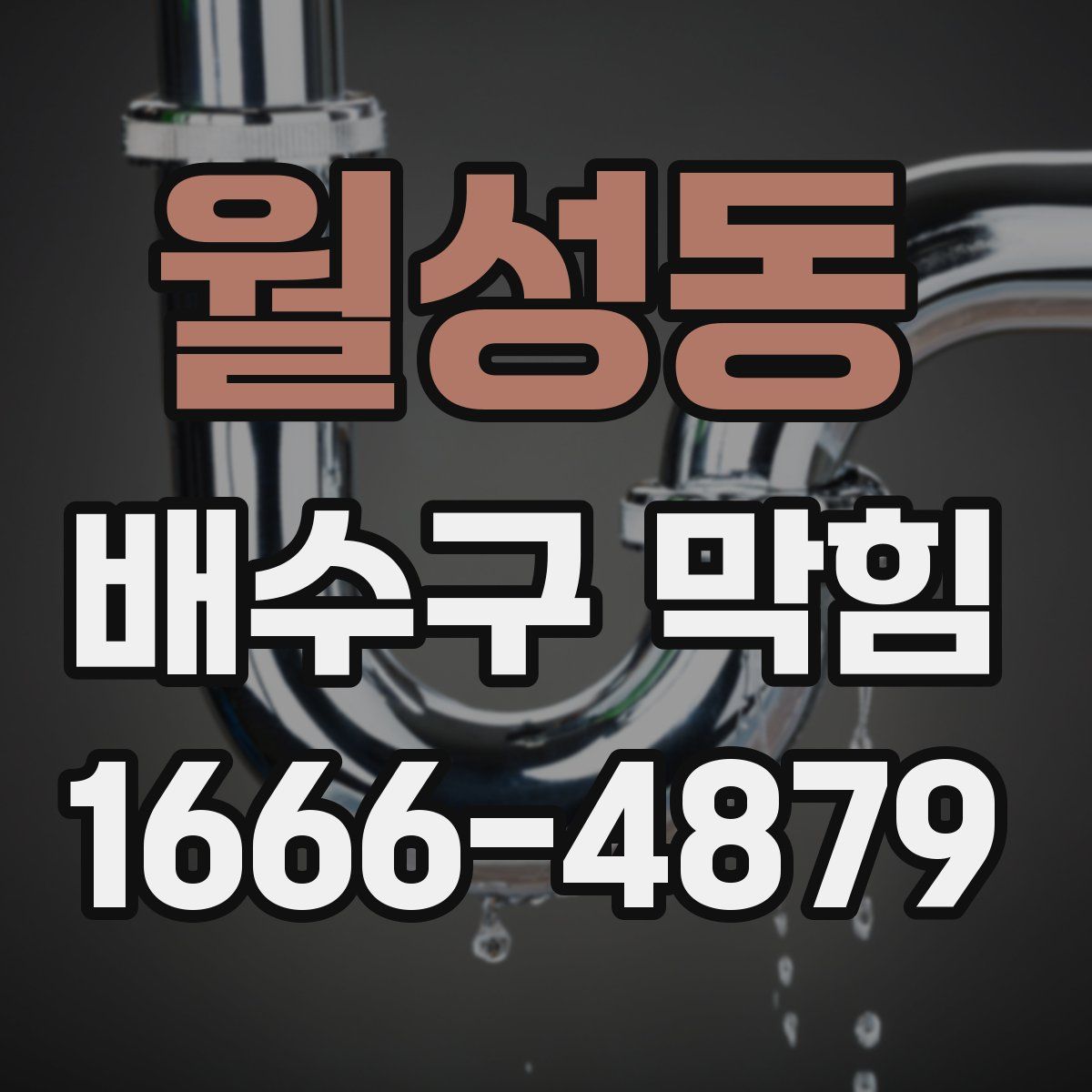 월성동 배수구 막힘