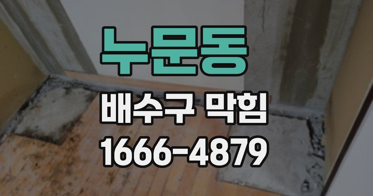 누문동 배수구 막힘