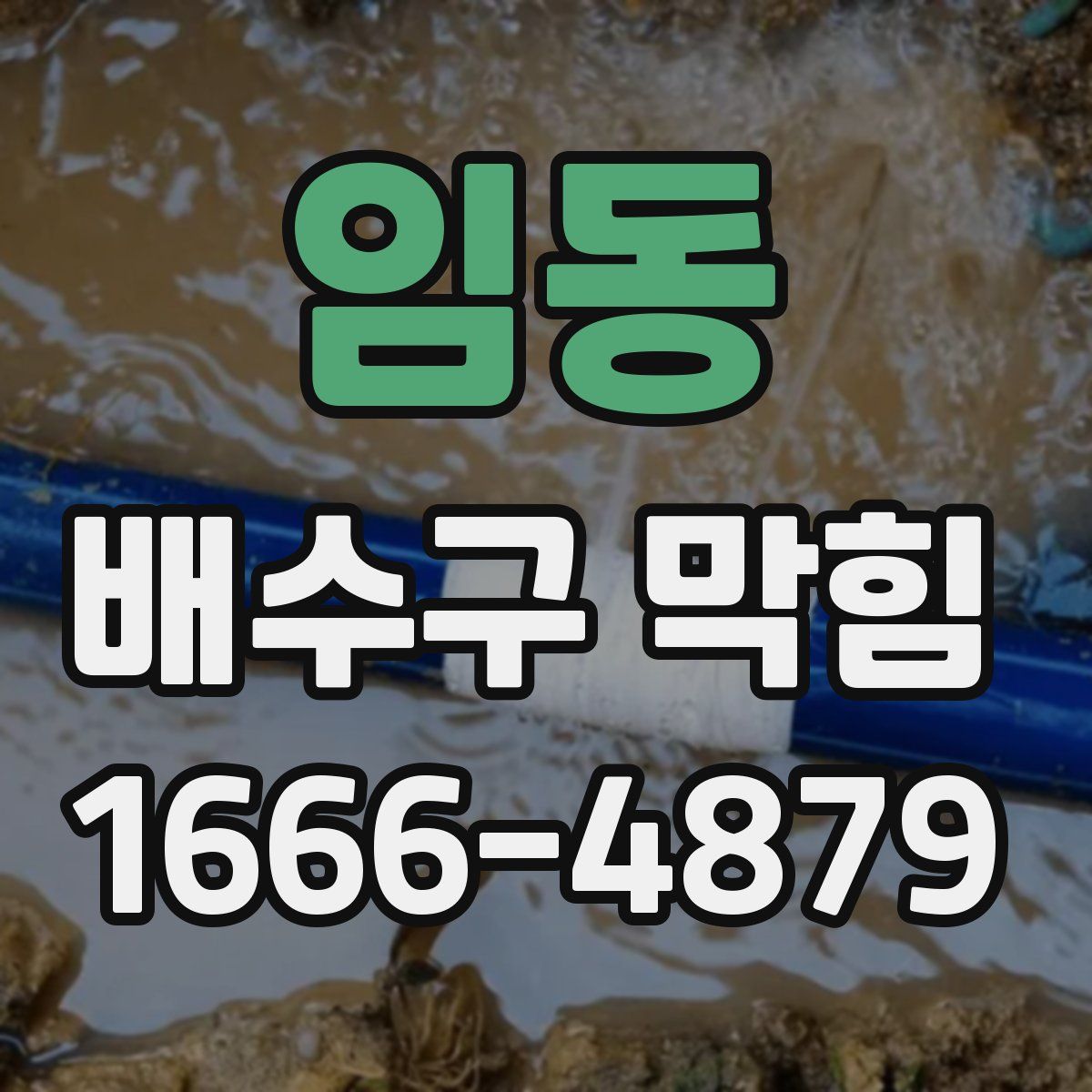 임동 배수구 막힘