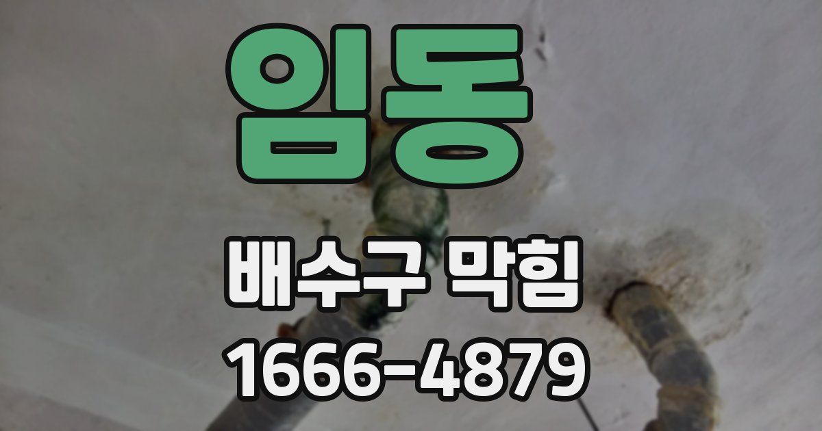 임동 배수구 막힘