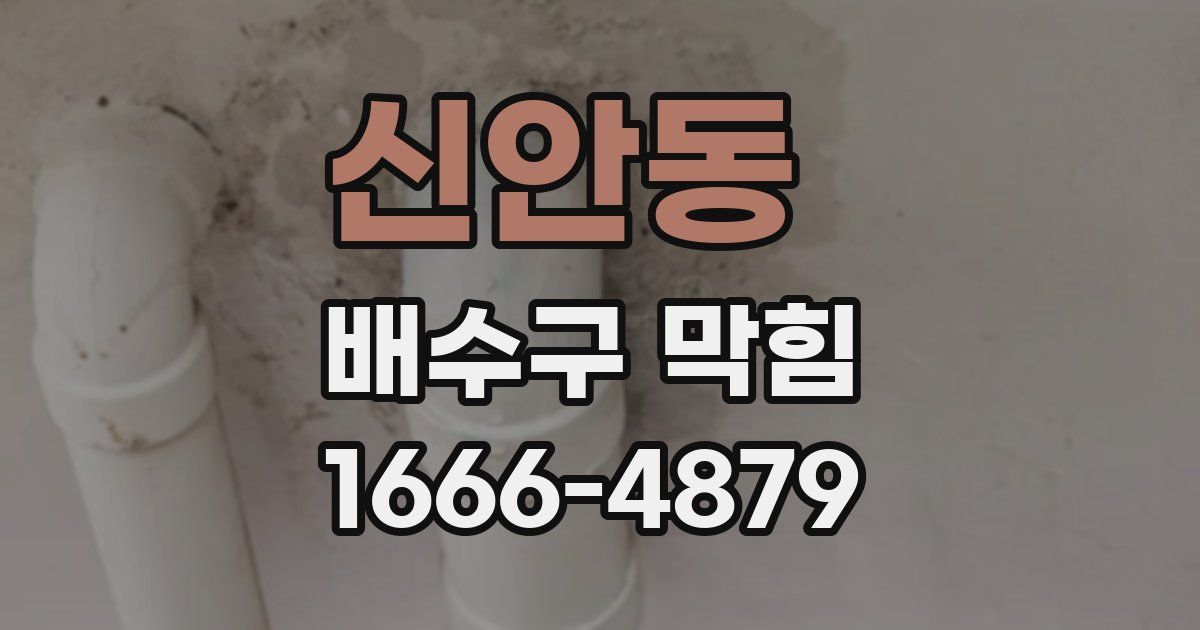 신안동 배수구 막힘