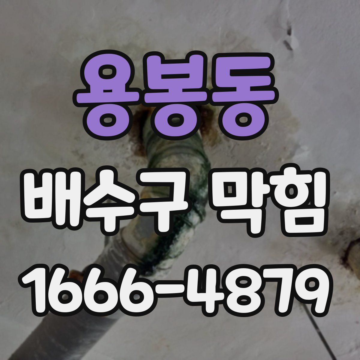 용봉동 배수구 막힘