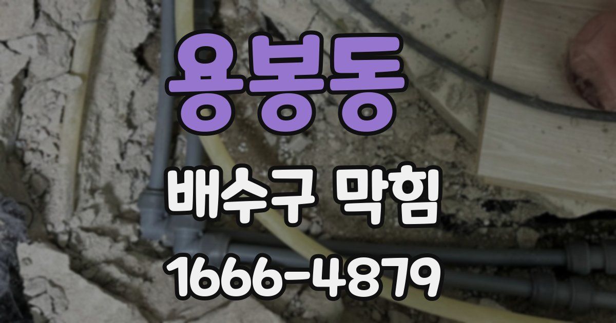 용봉동 배수구 막힘