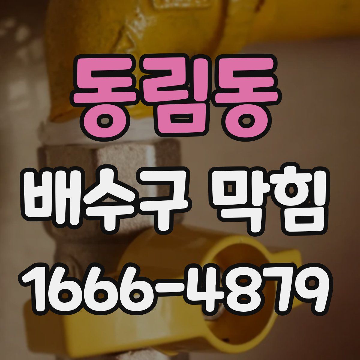 동림동 배수구 막힘
