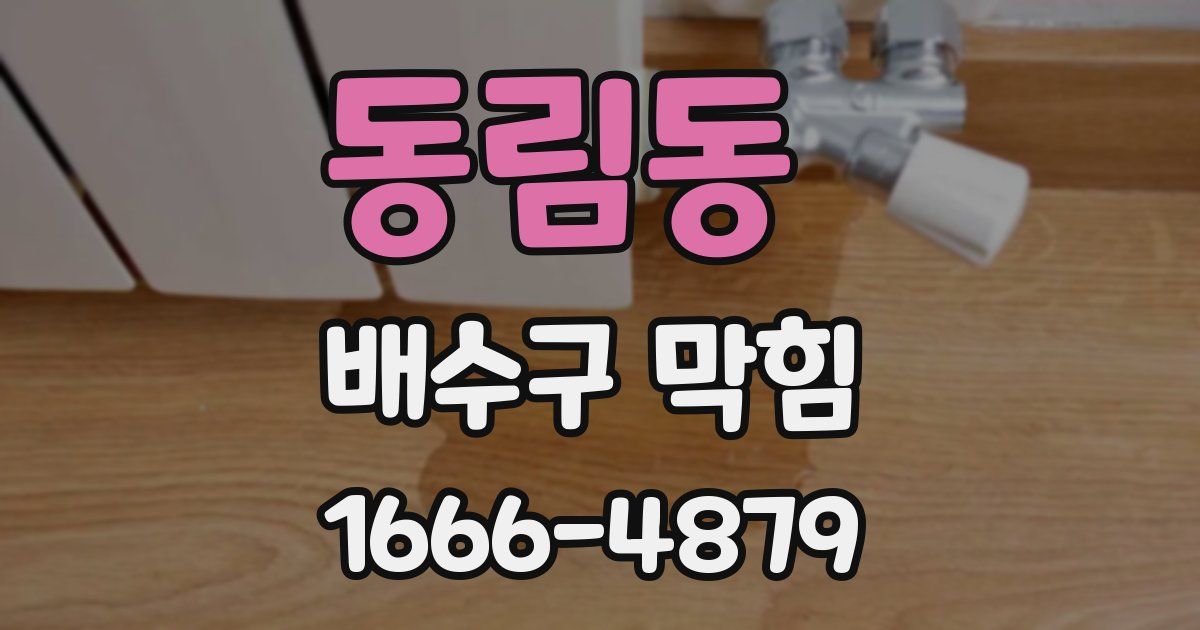 동림동 배수구 막힘