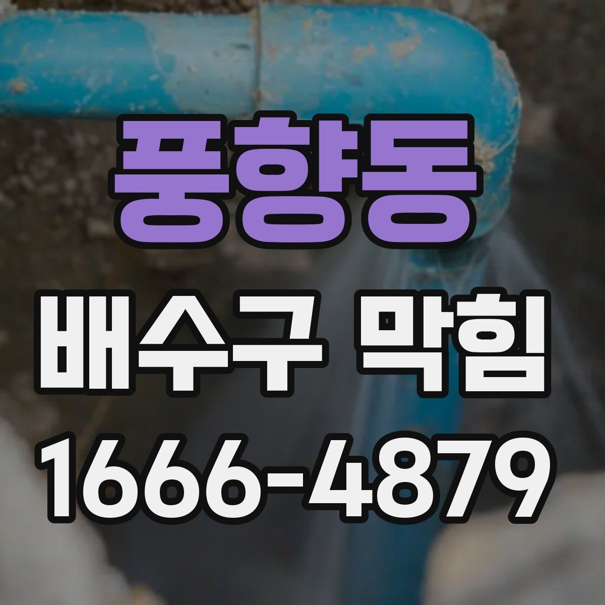 풍향동 배수구 막힘