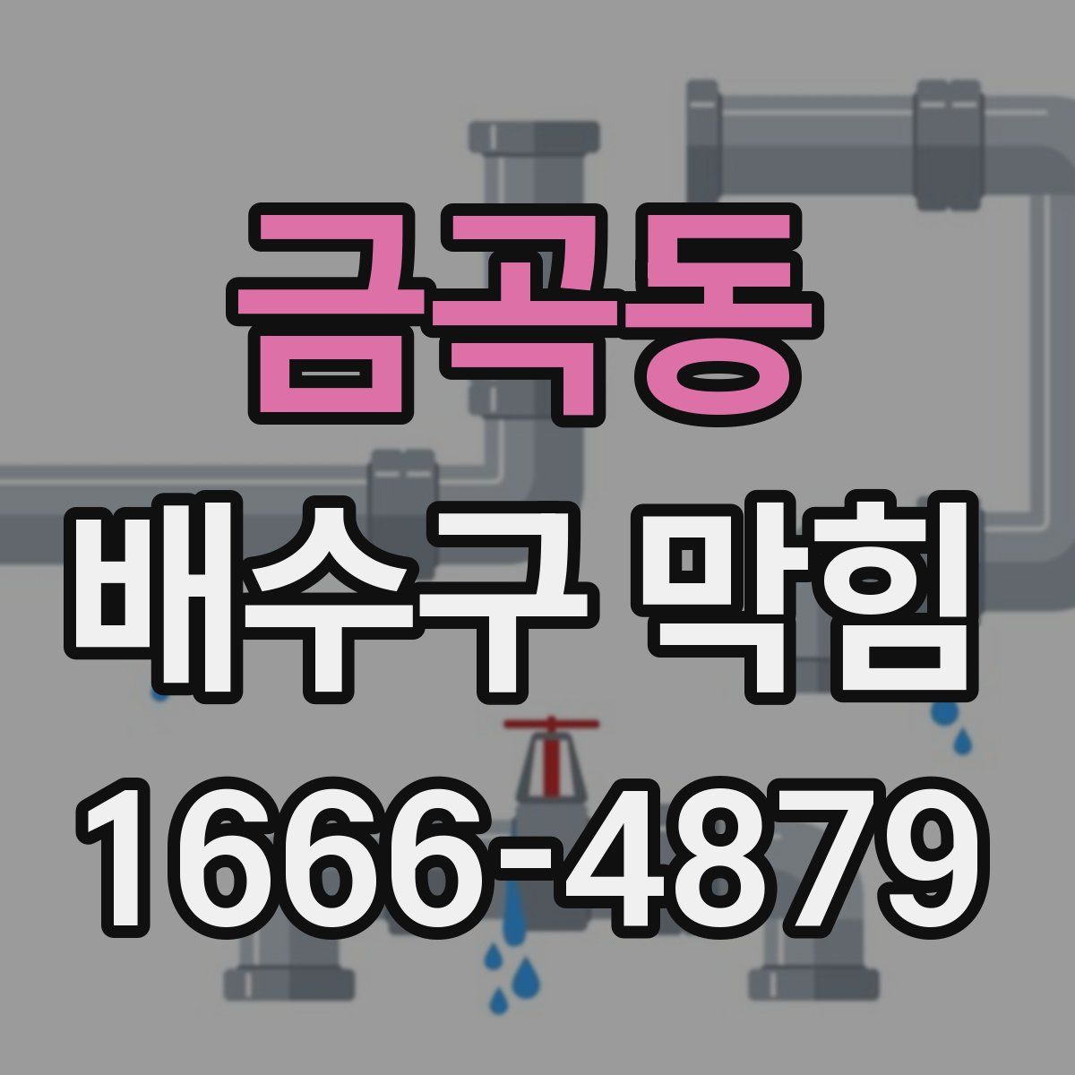 금곡동 배수구 막힘