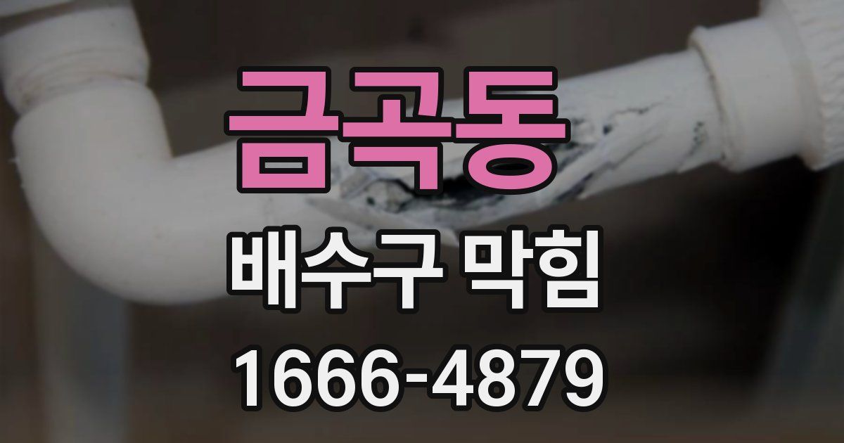 금곡동 배수구 막힘