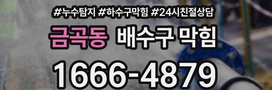 금곡동 배수구 막힘
