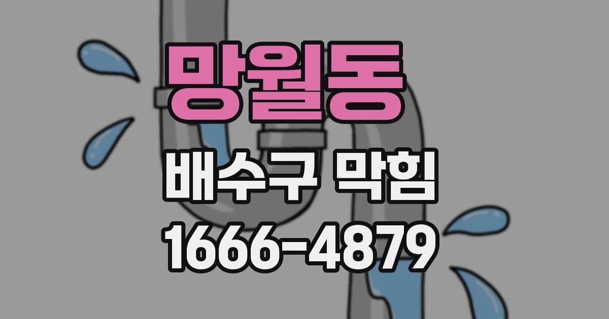 망월동 배수구 막힘