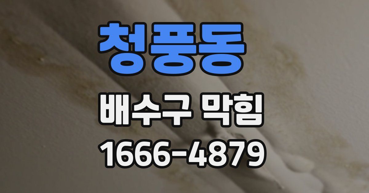 청풍동 배수구 막힘