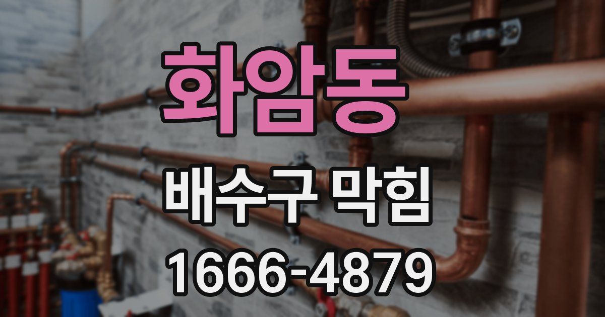 화암동 배수구 막힘