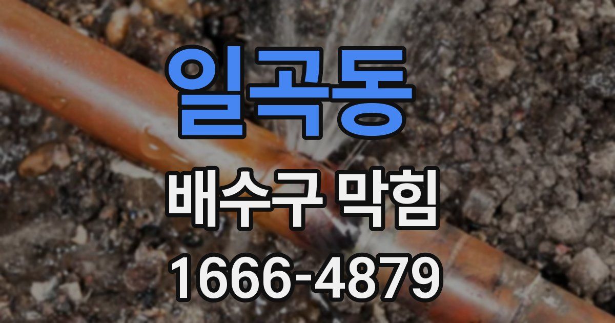 일곡동 배수구 막힘