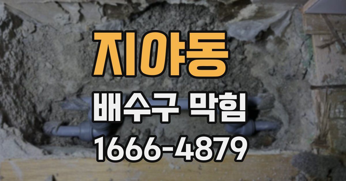 지야동 배수구 막힘
