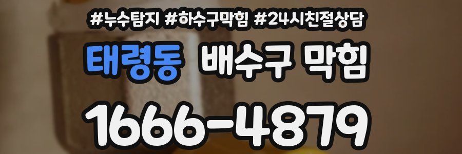 태령동 배수구 막힘