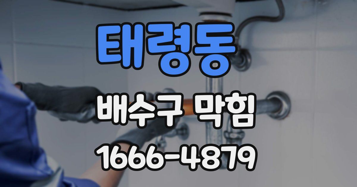 태령동 배수구 막힘