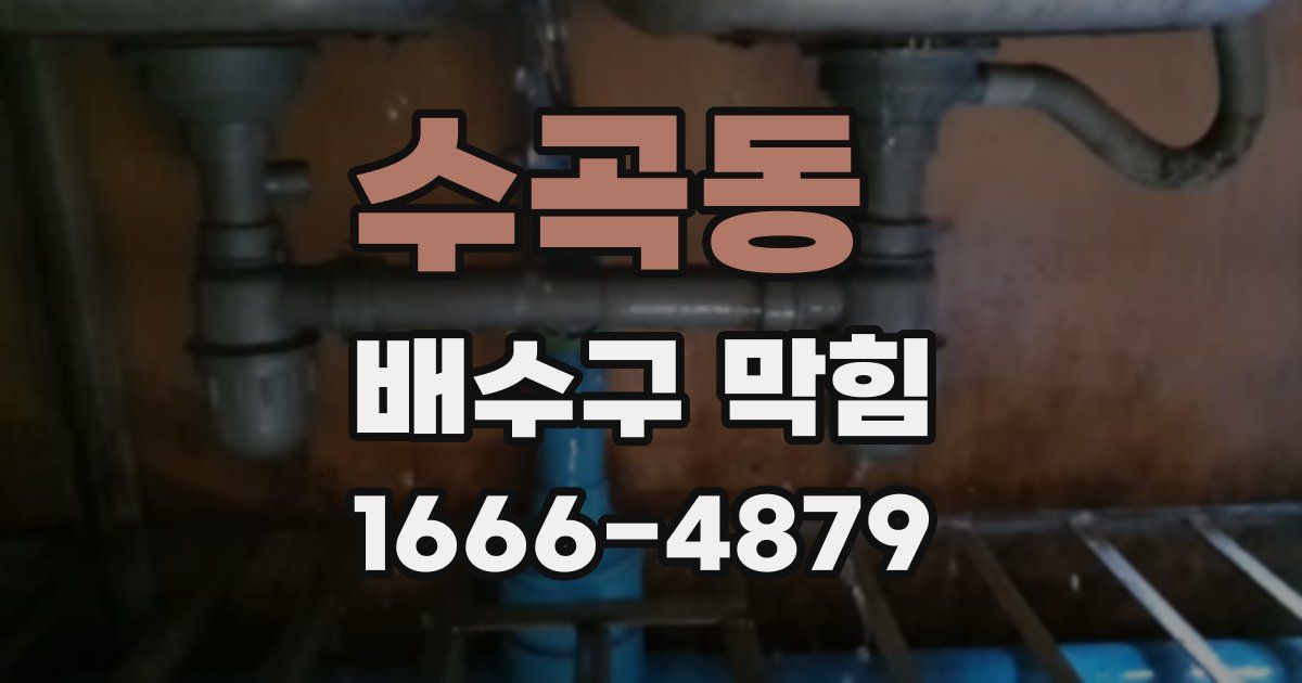 수곡동 배수구 막힘