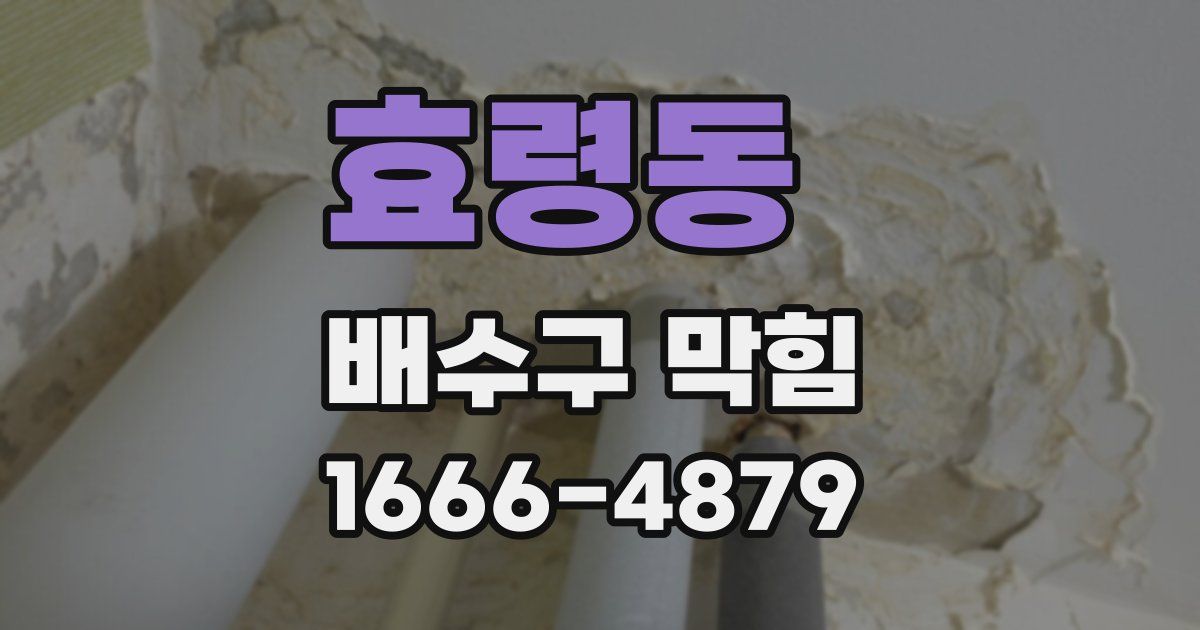 효령동 배수구 막힘