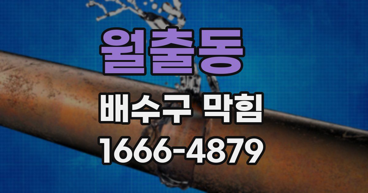 월출동 배수구 막힘