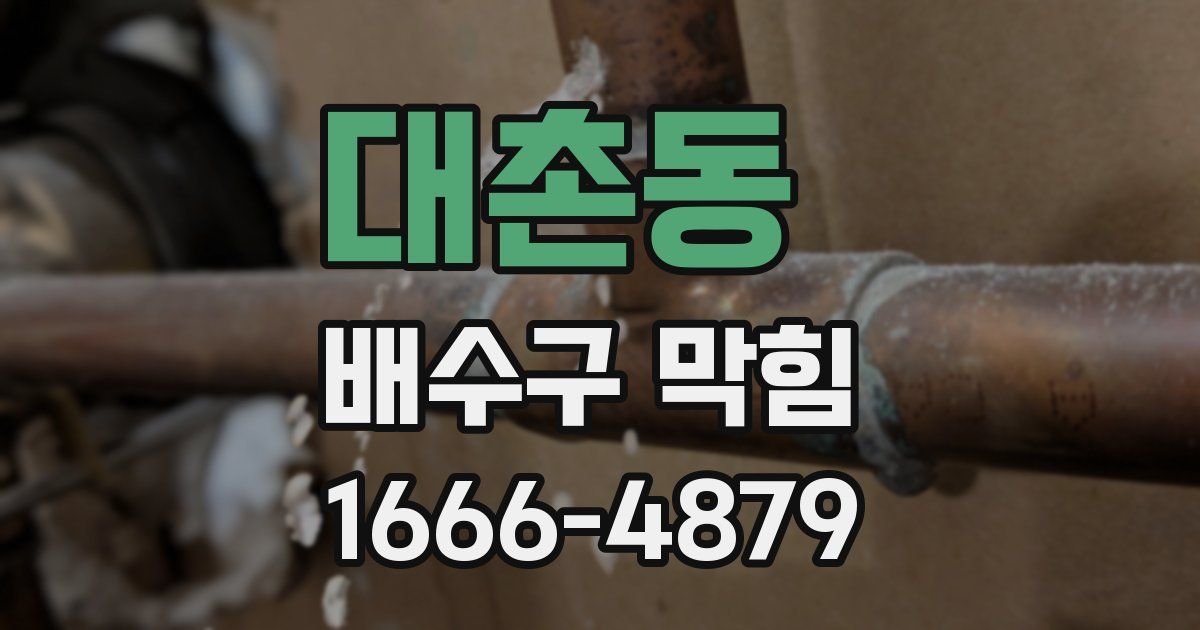 대촌동 배수구 막힘