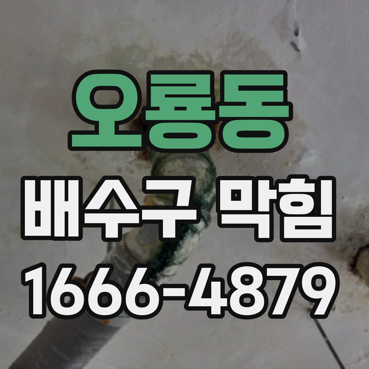 오룡동 배수구 막힘