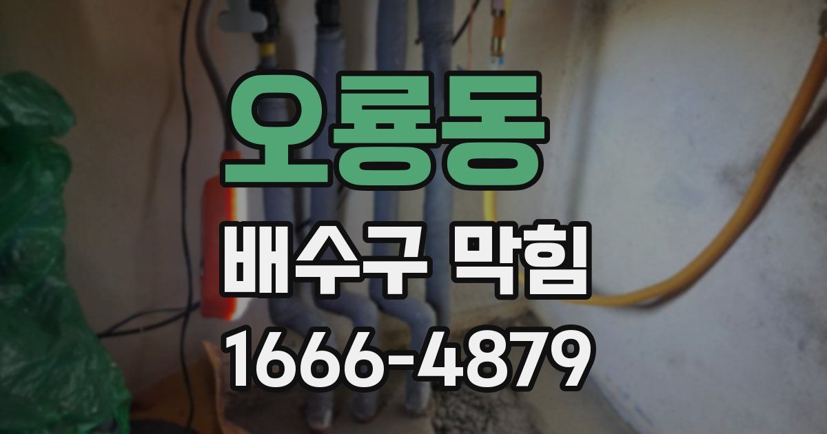 오룡동 배수구 막힘