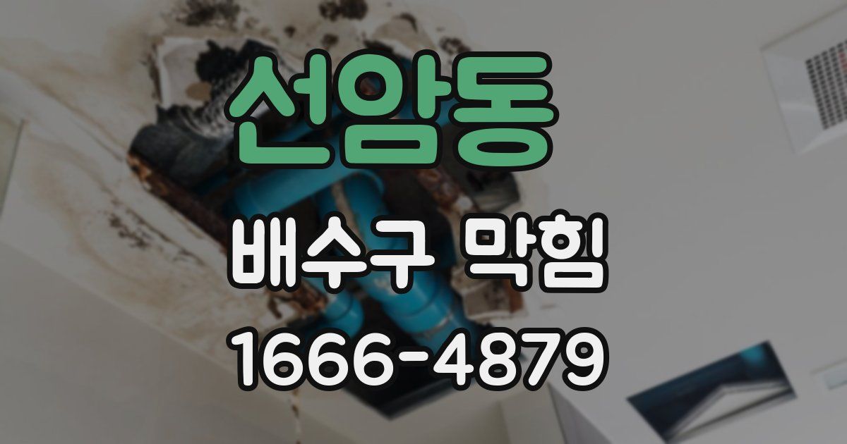 선암동 배수구 막힘