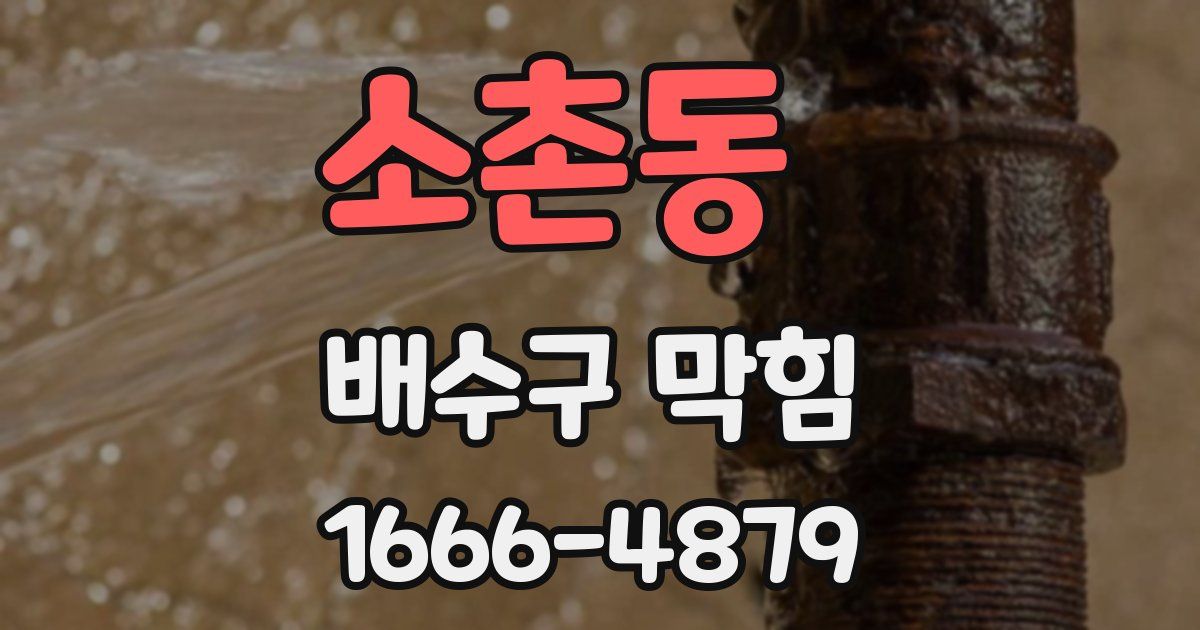 소촌동 배수구 막힘
