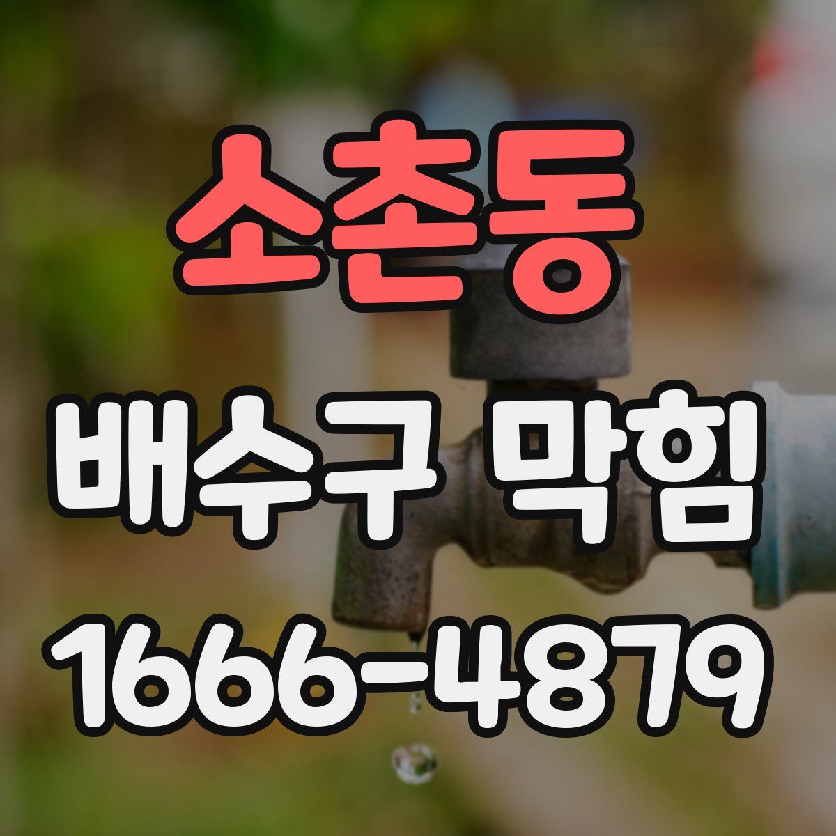 소촌동 배수구 막힘