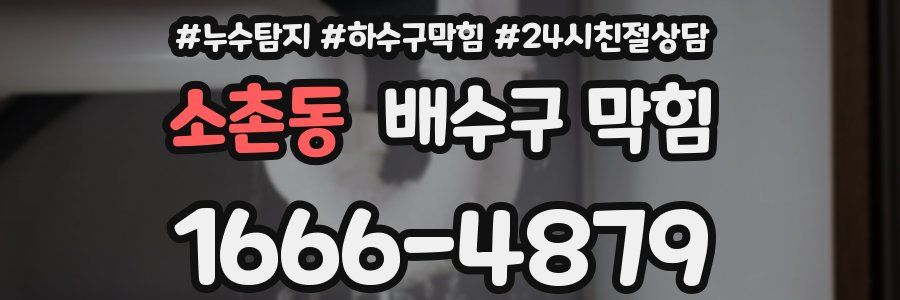 소촌동 배수구 막힘