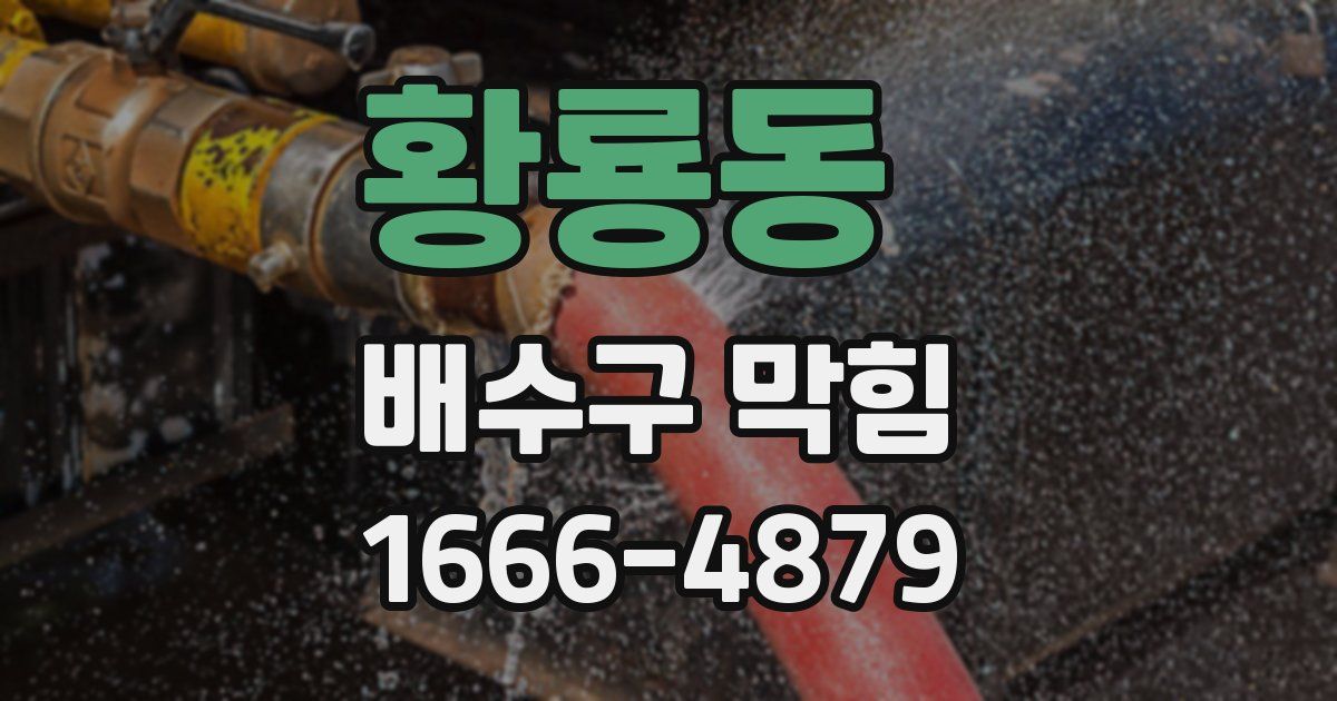 황룡동 배수구 막힘