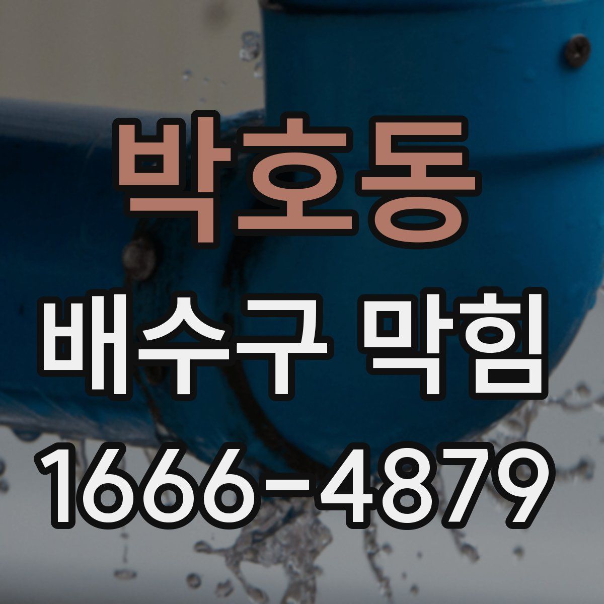 박호동 배수구 막힘