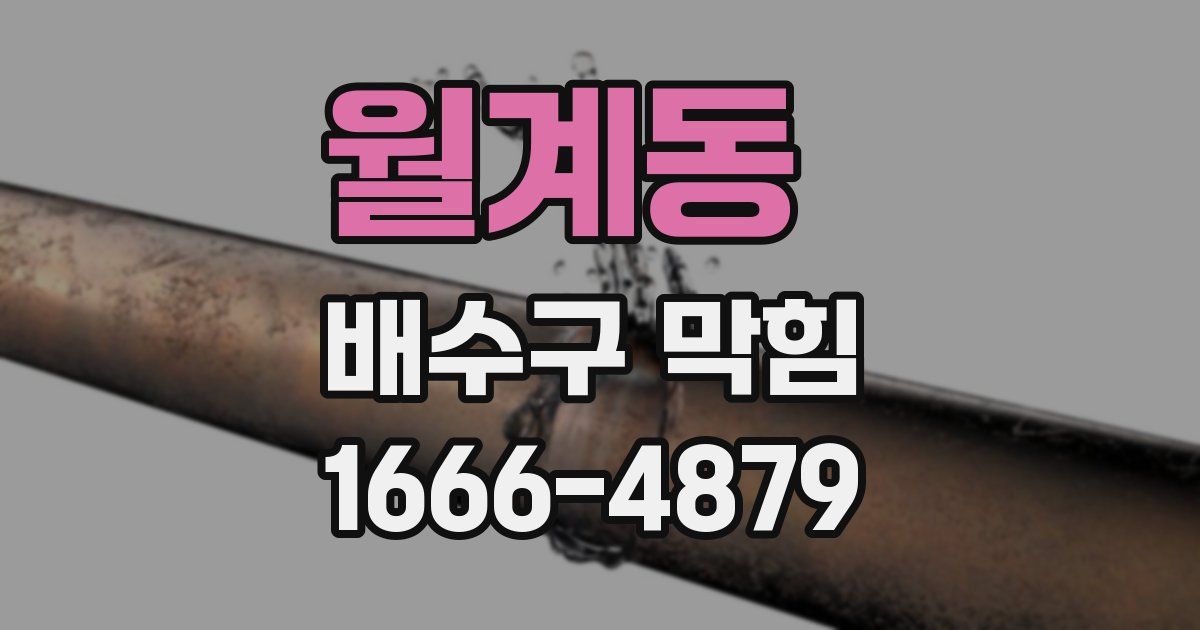 월계동 배수구 막힘