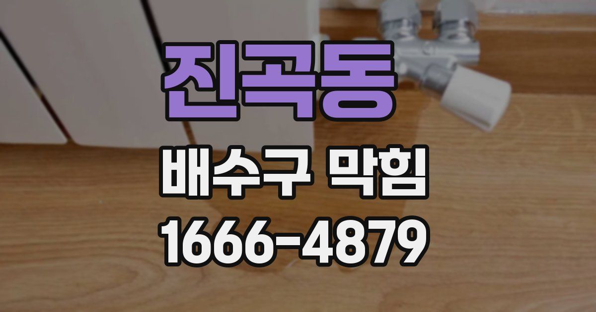 진곡동 배수구 막힘