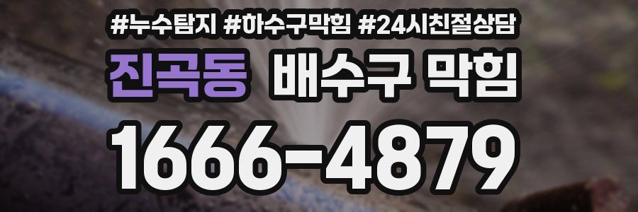 진곡동 배수구 막힘