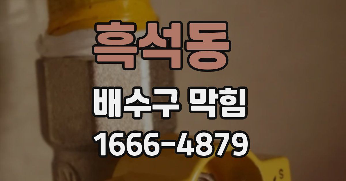 흑석동 배수구 막힘