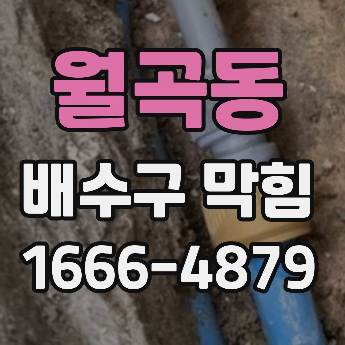 월곡동 배수구 막힘