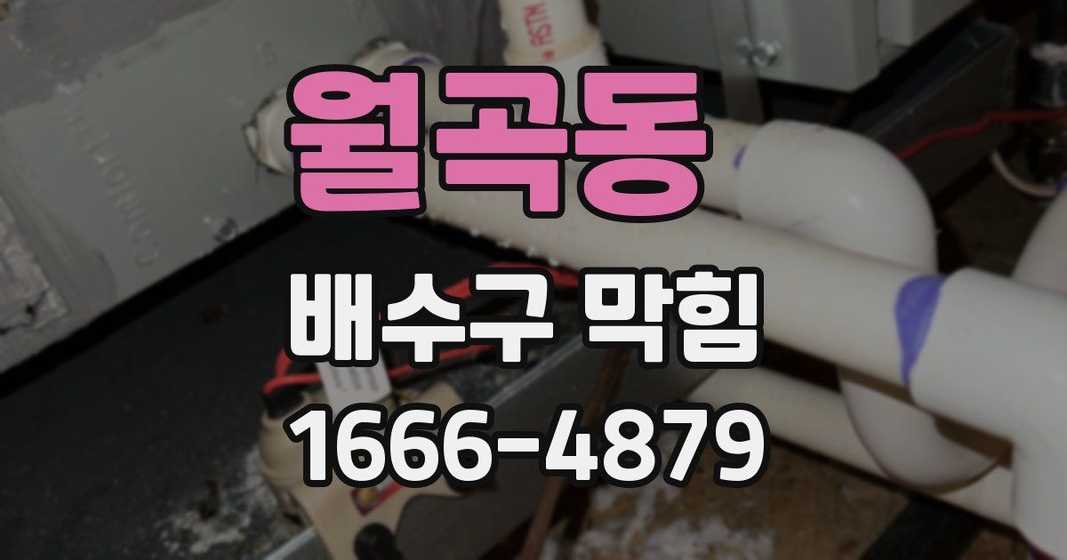 월곡동 배수구 막힘