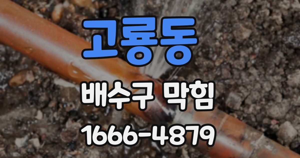 고룡동 배수구 막힘
